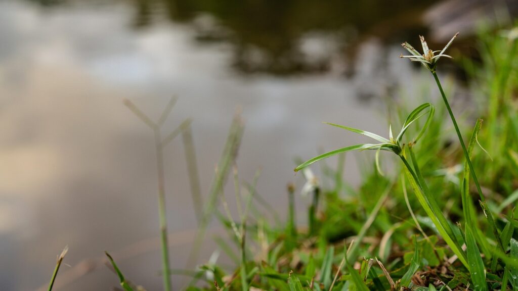 マネジメント能力を活かした自己PRの効果的な方法は？