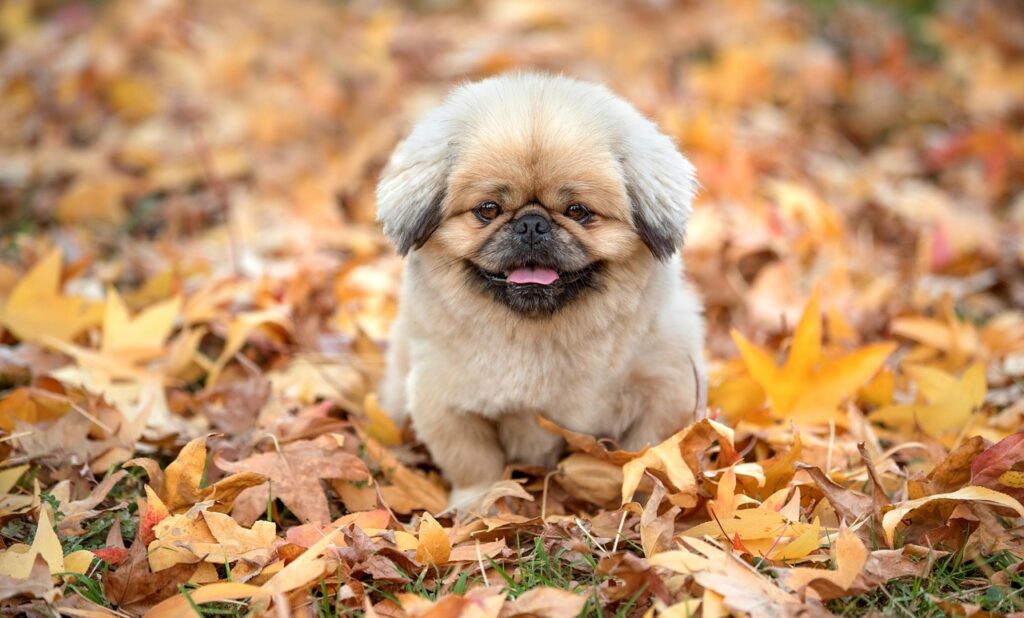 給料が低い理由で転職を考えるべきポイントは？