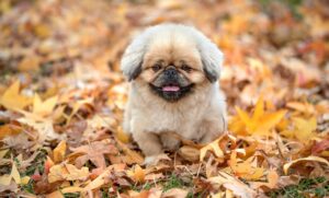 給料が低い理由で転職を考えるべきポイントは？