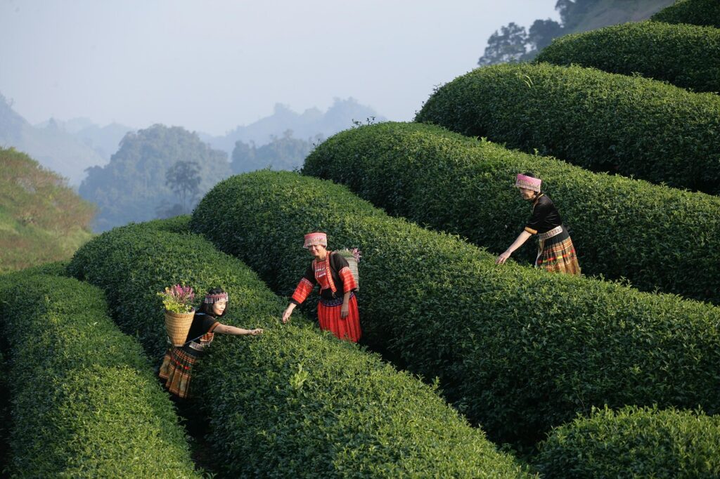 転職でマネジメント経験を活かすためのポイントは？