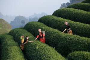 転職におけるマネジメント経験の活かし方とは？