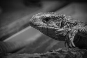 マネジメントの経験とはどのように活かせるのか？