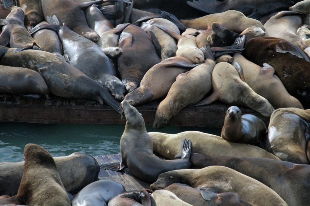 39歳で転職して年収アップを実現するためのポイントは？