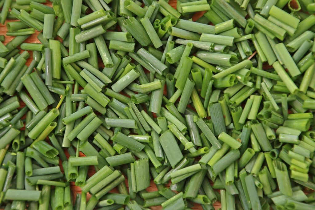 年収アップを実現する転職で年収アップできる求人の特徴リストは？