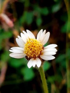 年収アップを狙う転職で海外拠点赴任の年収＋手当が高い求人は？